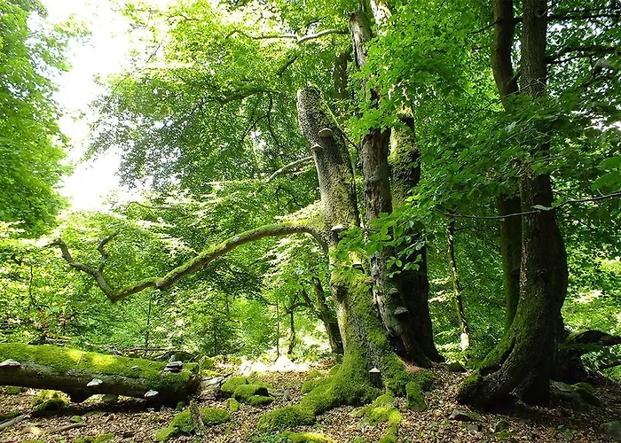 Ferienwohnung Im Grunen *